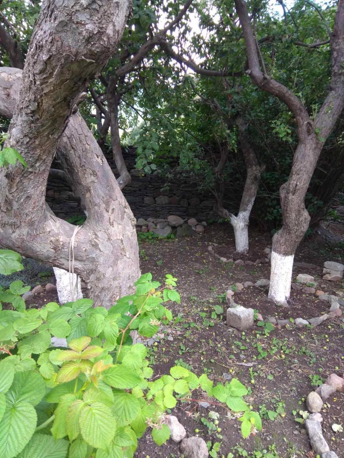 מלון קזבגי House In Gergeti מראה חיצוני תמונה